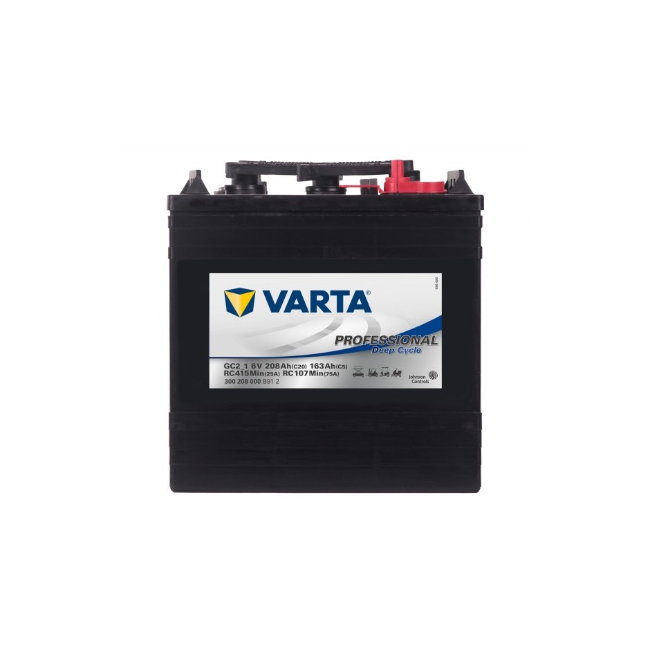 Batterie Varta  Professional Deep Cycle (Antimony Technology) GC2_1