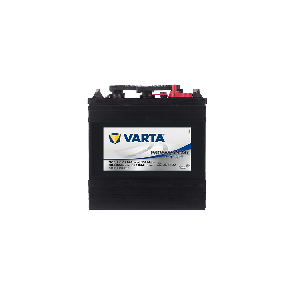 Batterie Varta  Professional Deep Cycle (Antimony Technology) GC2_2